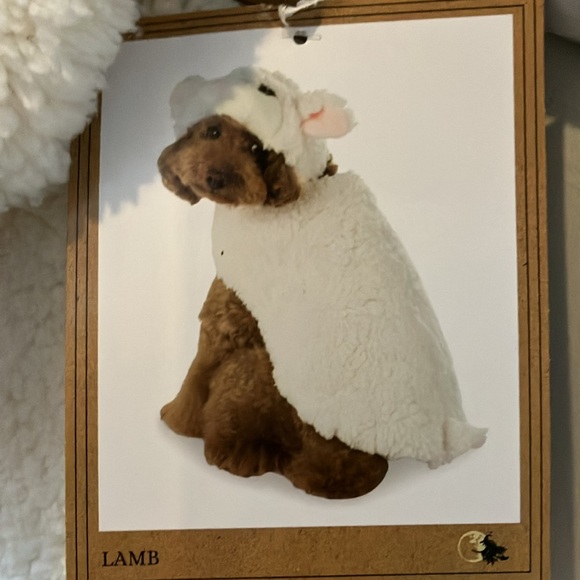 Lamb ๐ Costume for ๐dogs ๐ถ - Picture 1 of 12